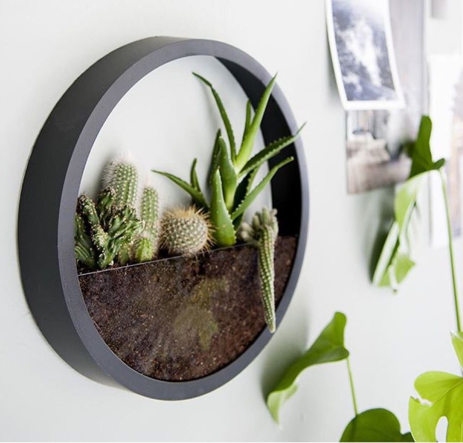 Флорариум круглый настенный