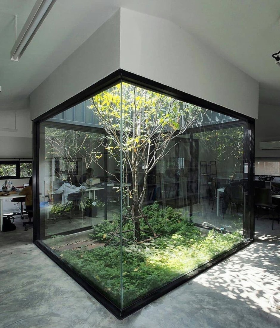 Зимний сад с аквариумом