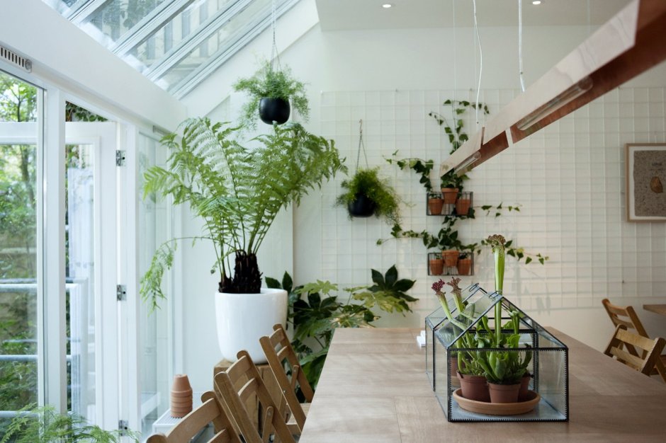 Помещение с живыми цветами