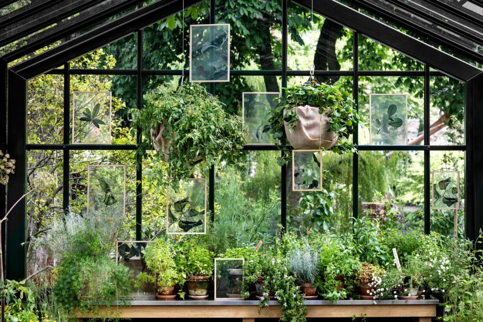 Зелень через стекло