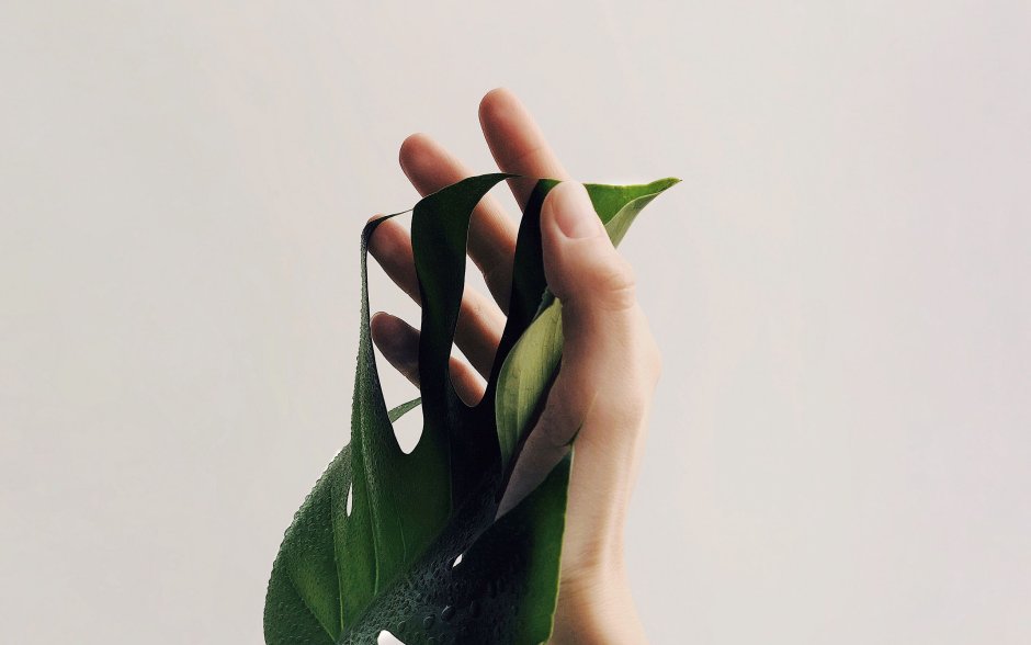 Эстетика во всем