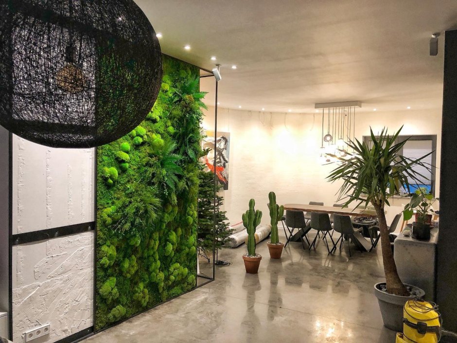 Мох сфагнум вертикальное Озеленение