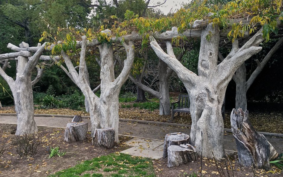 Дерево из бетона