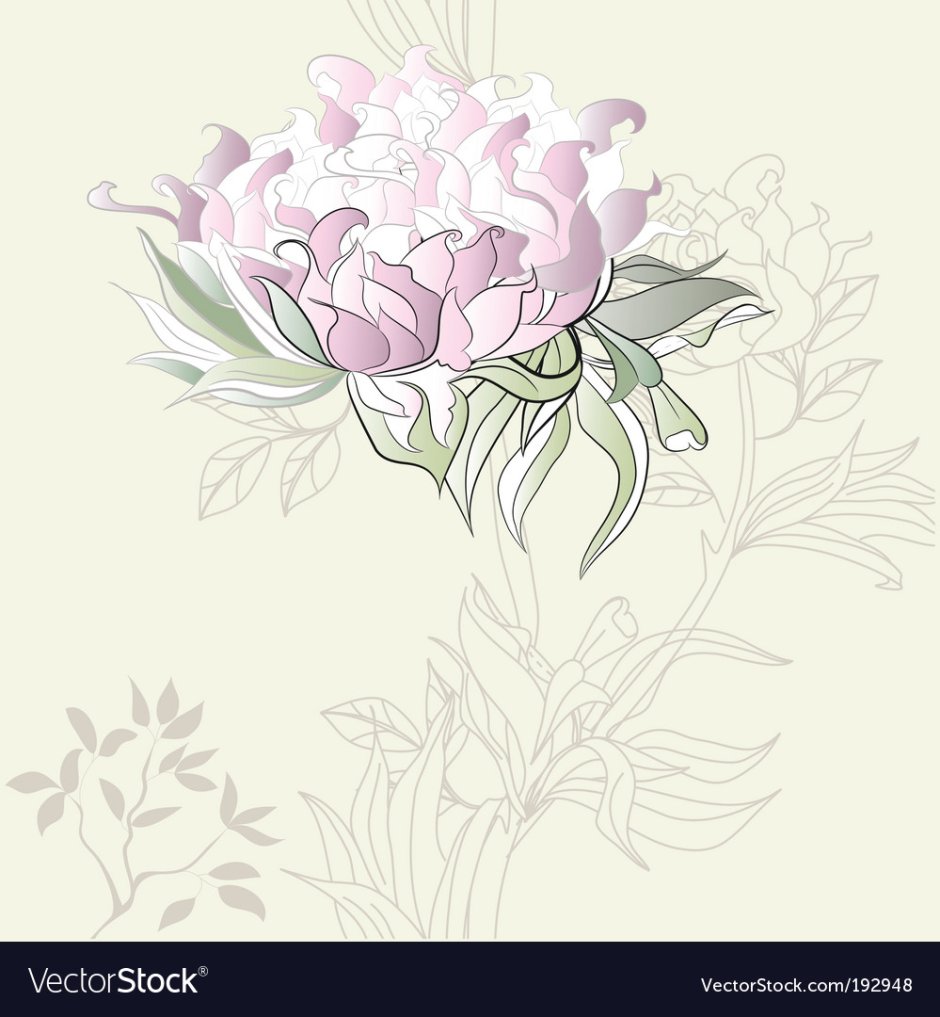 Эскизы для стен пионы