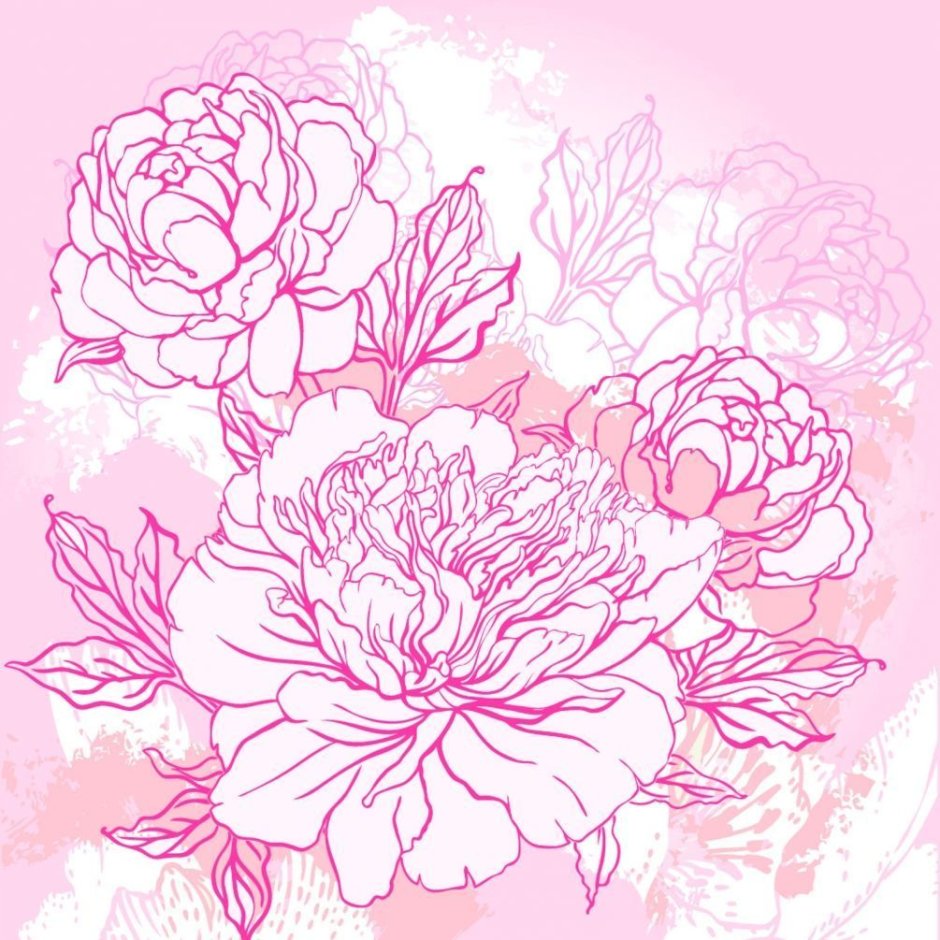 Пионы Графика