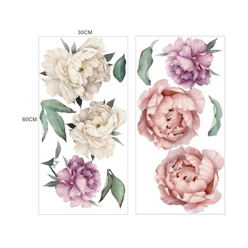 Пионы рисунок на стене