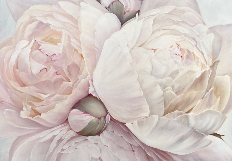 Александра Озерова пионы