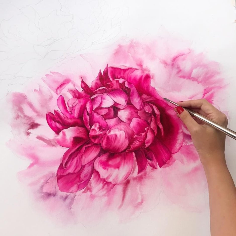 Пионы для рисования акриловыми красками