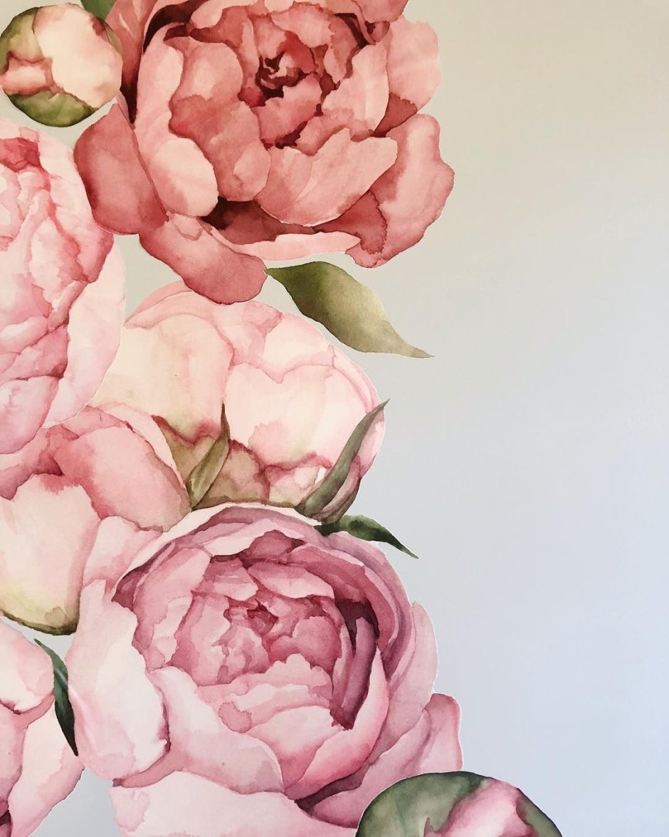 Роза Tanya Bonya