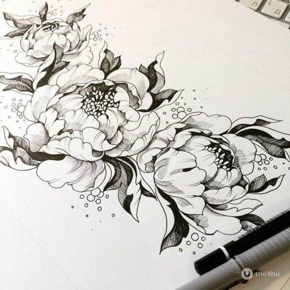 Пионы черно белые