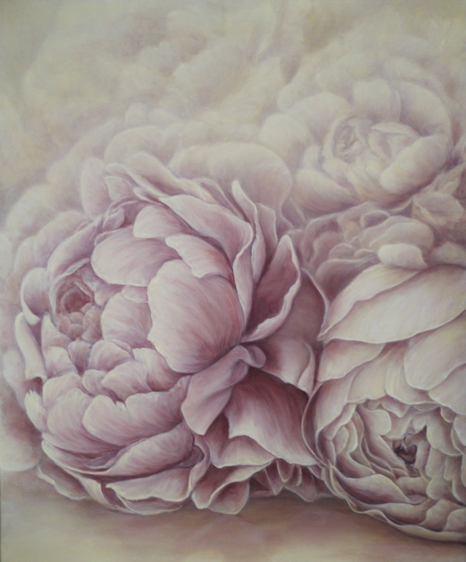 Серо розовые пионы