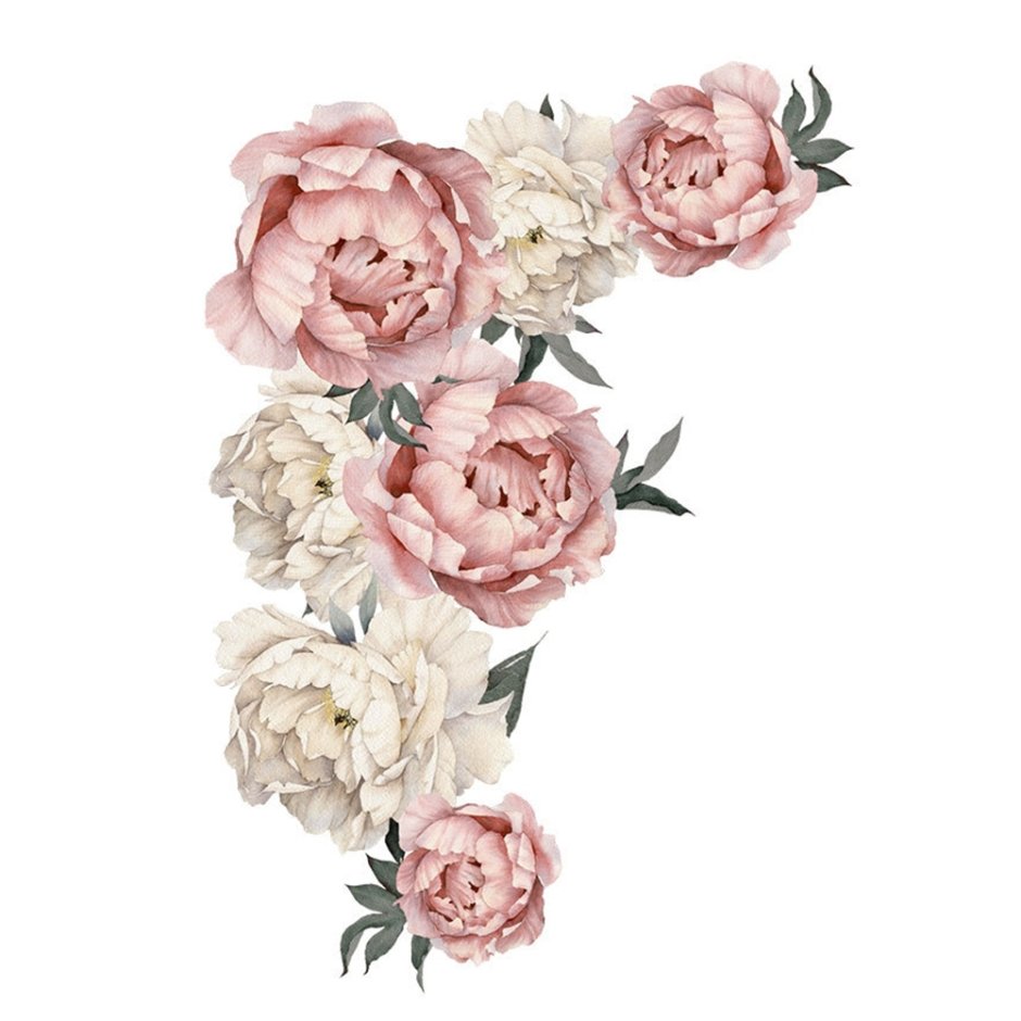 Наклейка интерьерная "пионы сет.2"