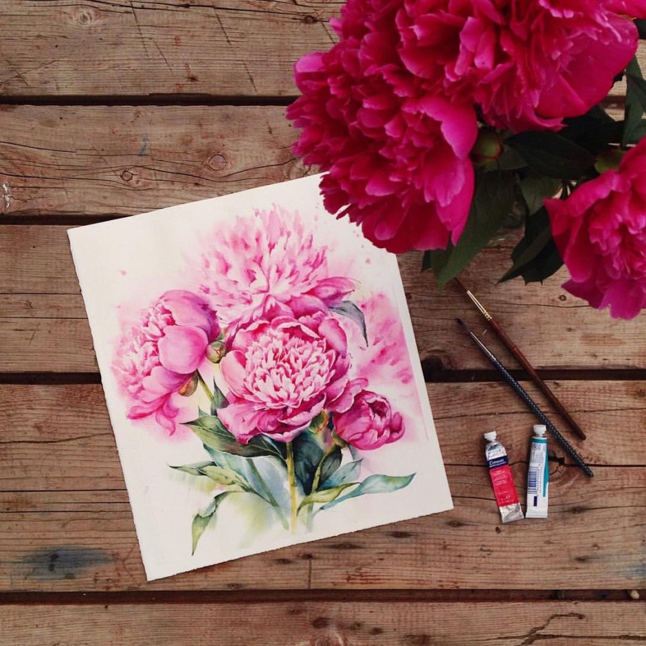 Пионы красками