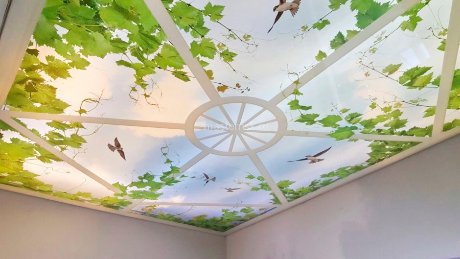 Листья на потолке