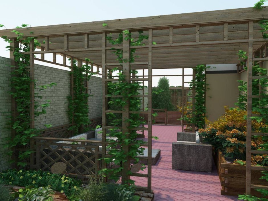 Пергола Андромеда