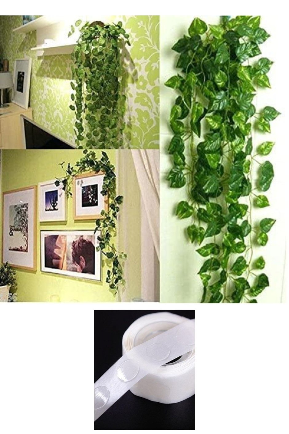 Плющ Хедера в интерьере