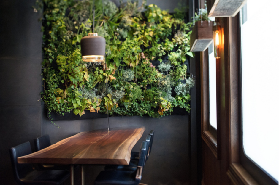 Озеленение в стиле лофт