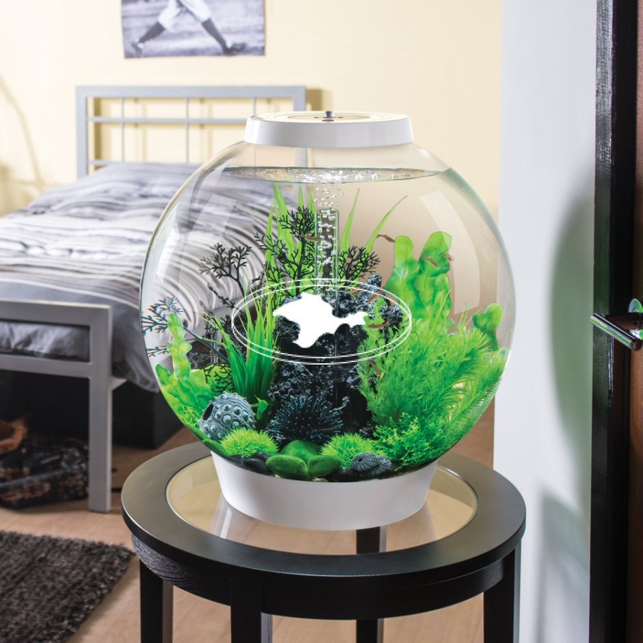 Аквариум BIORB круглый 60 литров