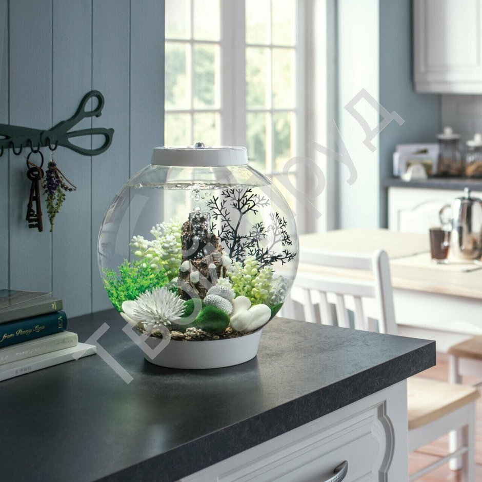 Аквариум BIORB Classic