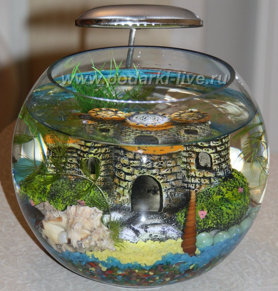 Круглый аквариум для черепахи
