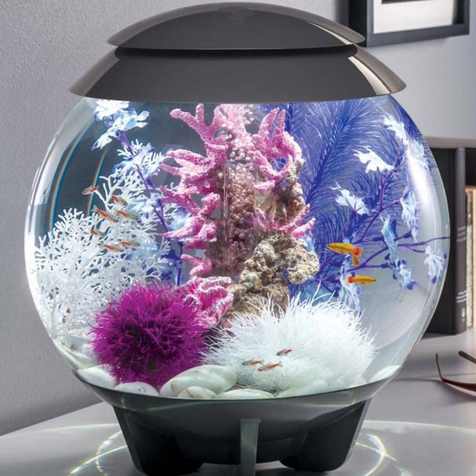 Аквариум BIORB Halo 30