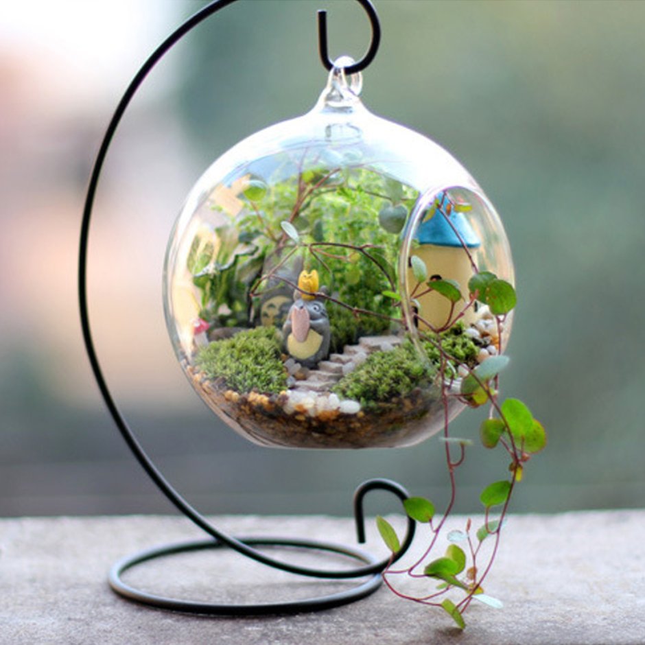 Флорариум террариум