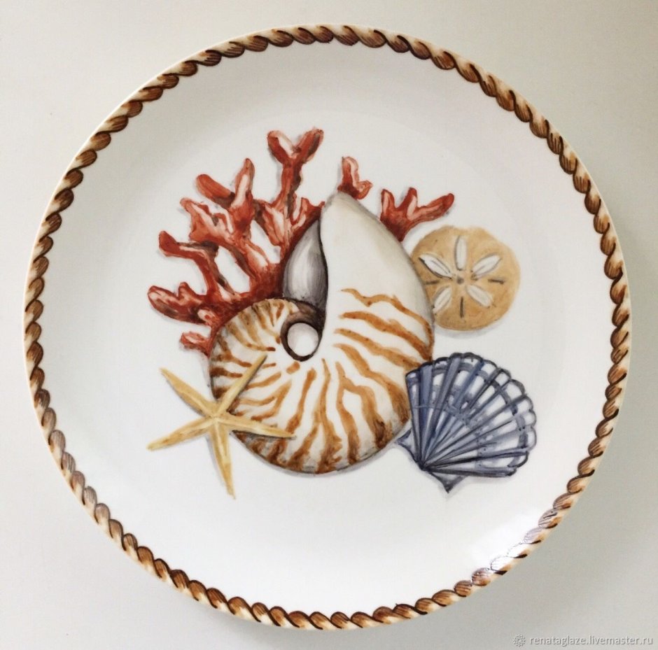 Морская тематика ракушки