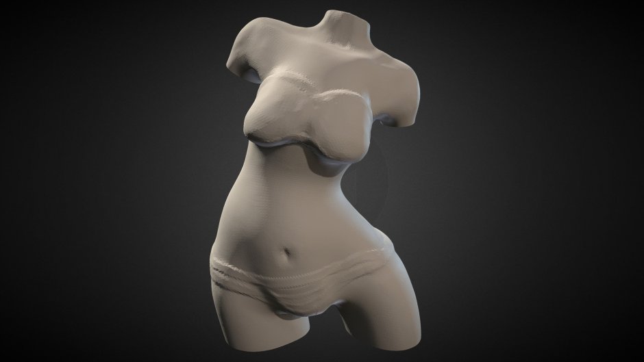Женский торс 3d модель