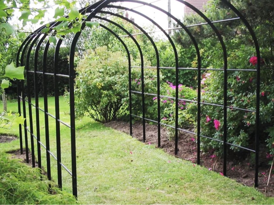 Виноградная полуарка