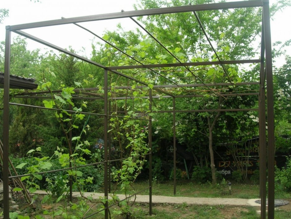 Пергола шпалера под виноград