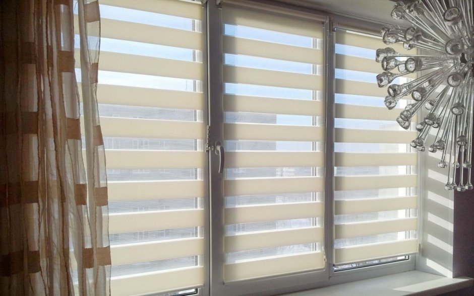 Рольшторы Зебра день ночь