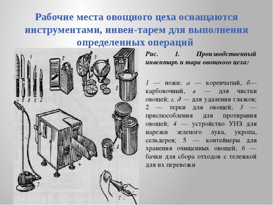 Овощной цех оборудование и инвентарь
