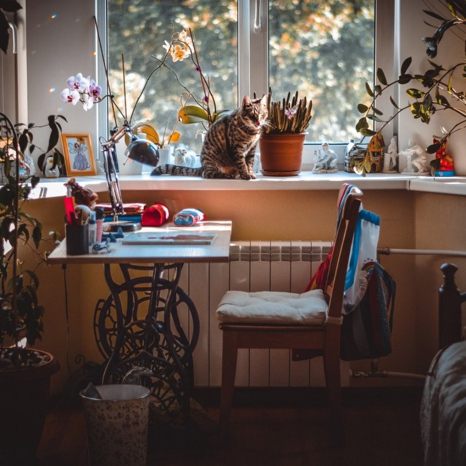 Рабочий стол уют интерьер