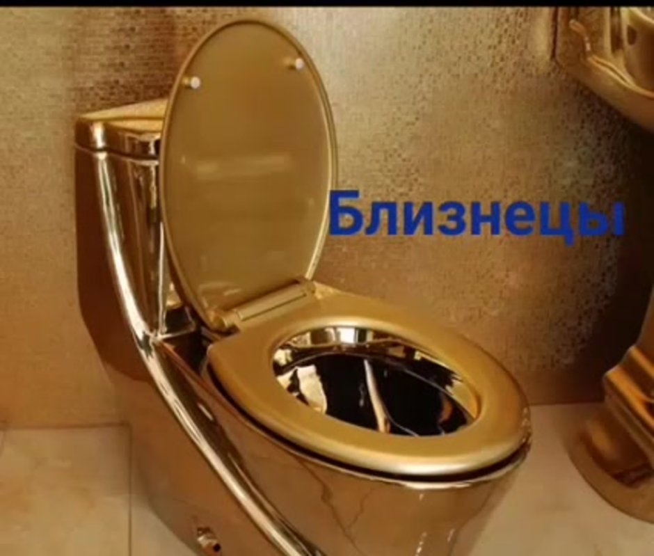 Унитаз под золото TS-8801