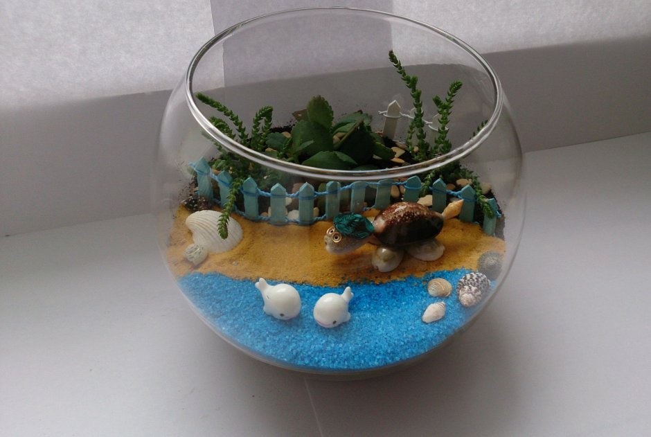 Флорариум с голубыми камешками