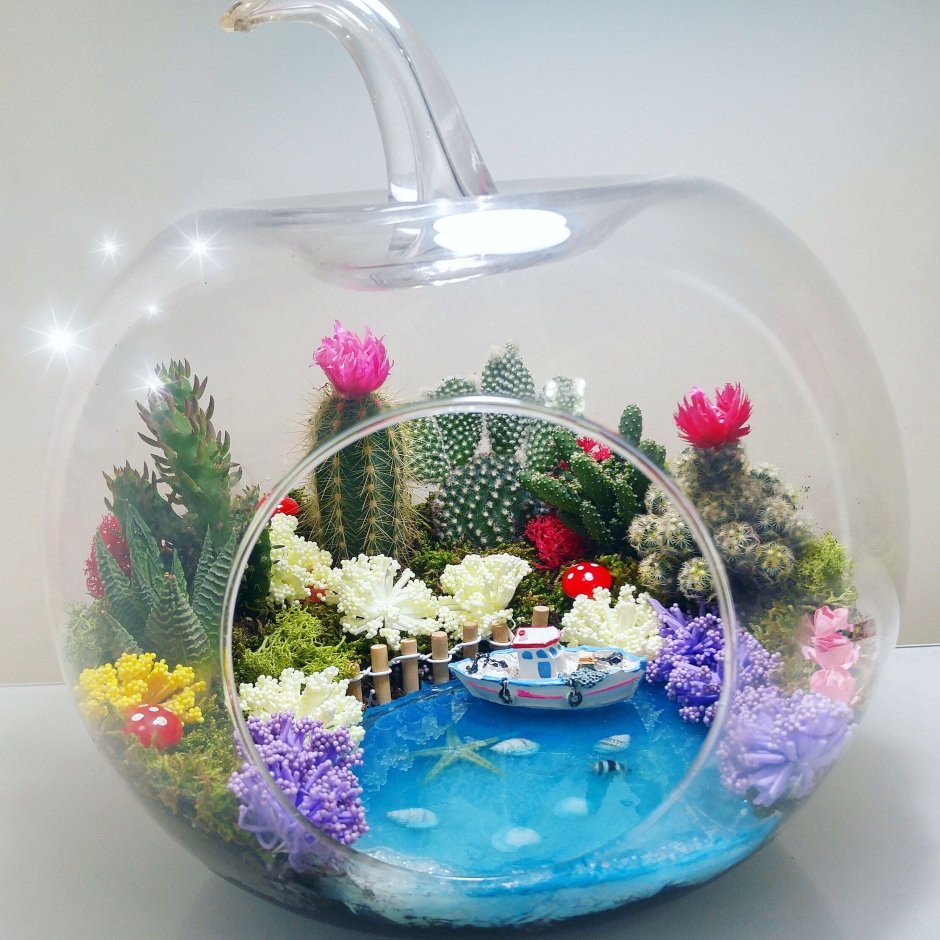 Флорариум круглый