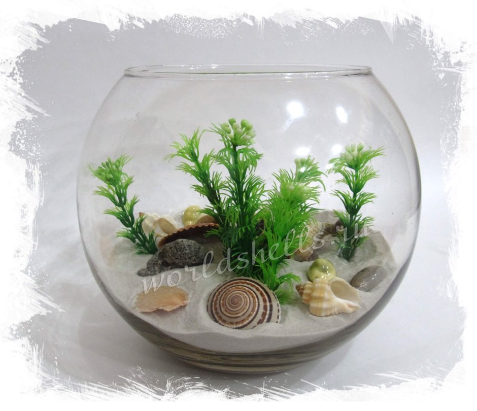 Сухой аквариум