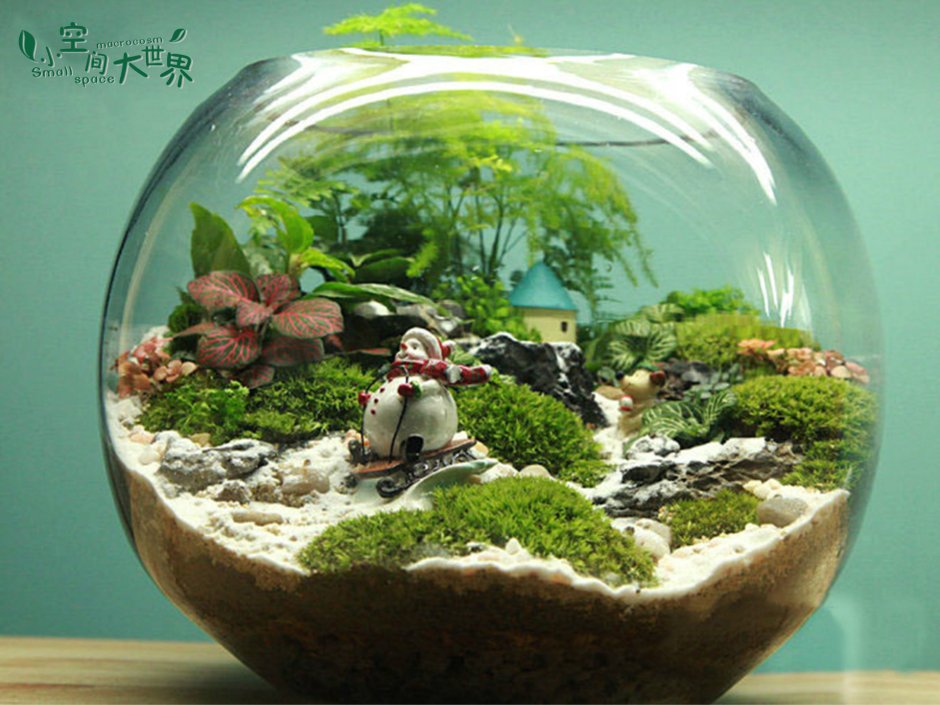 Флорариум с миниатюрами