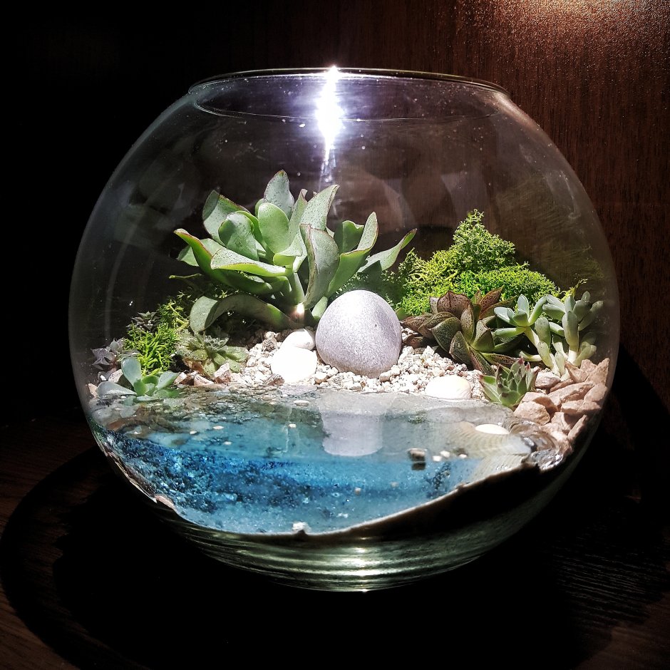 Террариум флорариум аквариум