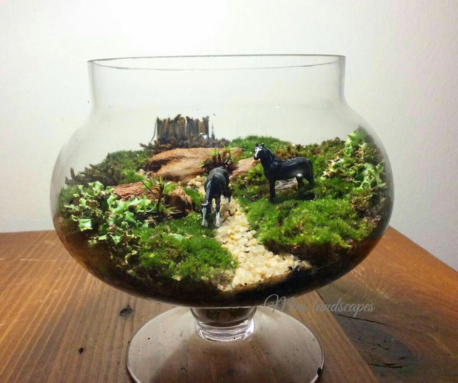 Флорариум Хоббит