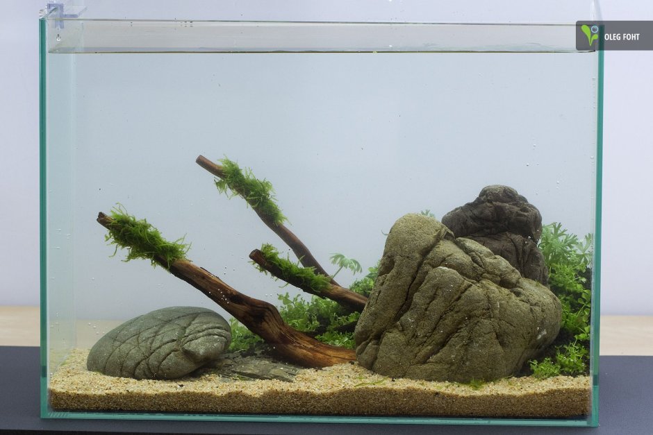 Аквариум без воды для интерьера