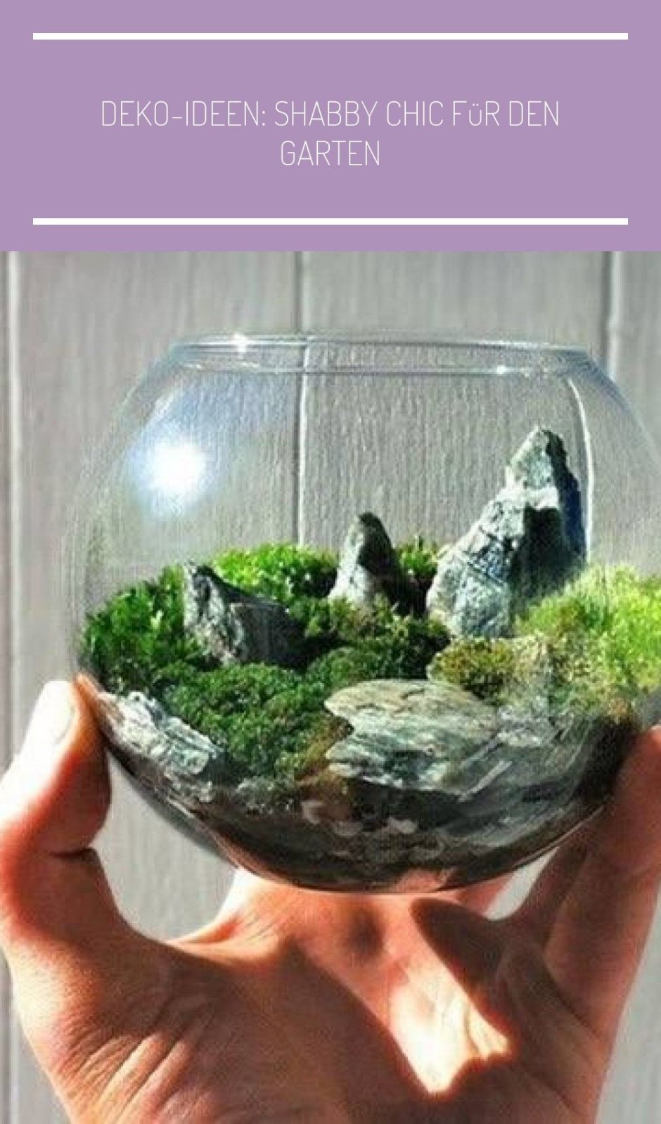 Флорариум горы скалы