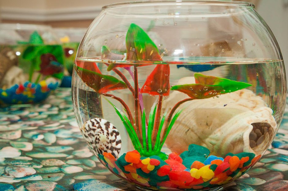 Аквариум с рыбками для детей