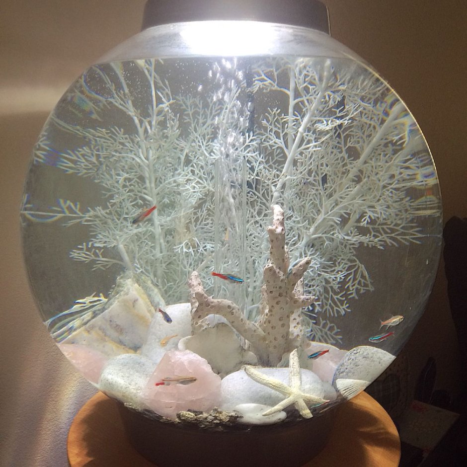 Декорации для круглого аквариума