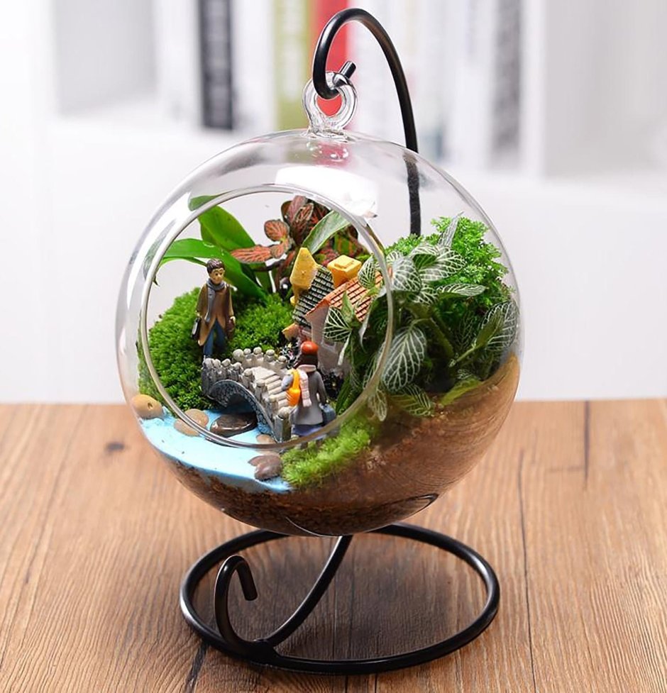 Флорариум подвесной шар