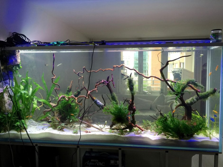 Спроектировать аквариум