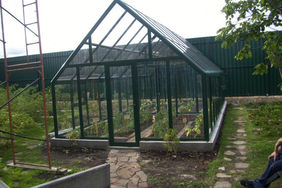 Теплица проведал п400