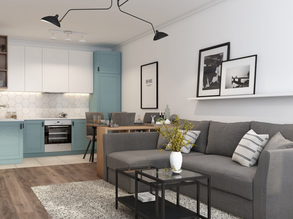 Пик кухня-гостиная 20кв