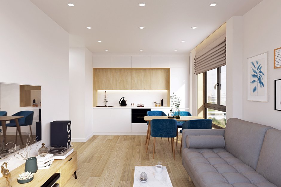 Кухня-гостиная в Мещерском лесу