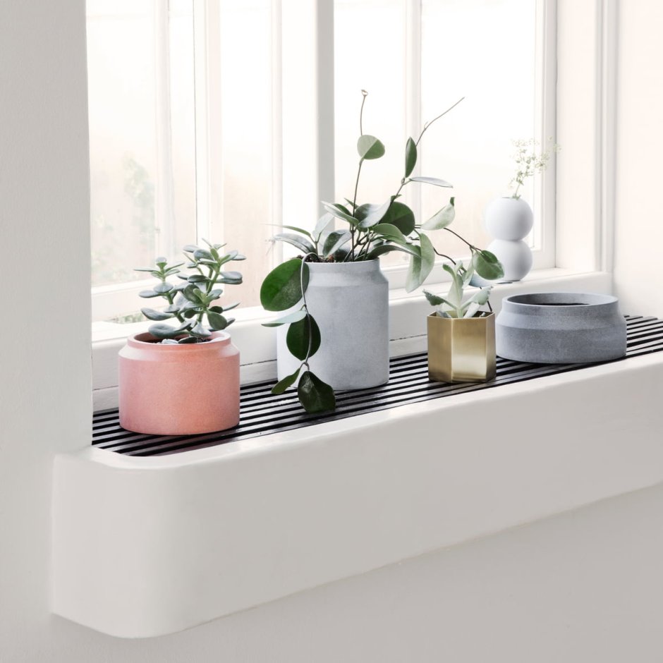 Цветы на подоконнике современный интерьер